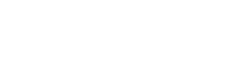  艶であなたのカーライフを変える